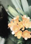 [Photobook] Yuka Suzuki 鈴木ゆうか 1st Photobook - Yu pace ゆうペース (2021-07-20)