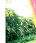[Photobook] Nozomi Sasaki 佐々木希 - Sasakiki ささきき (2013-09-05)