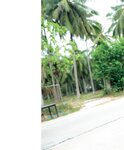 [Photobook] Nozomi Sasaki 佐々木希 - Sasakiki ささきき (2013-09-05)