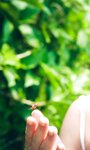 [Digital Limited] Mio Kudo 工藤美桜 - Summer door 夏の扉 (2022-06-27)