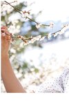 [Photobook] EMILY - The clear season 澄んだ季節 (2022-07-08)