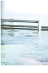 [Photobook] EMILY - The clear season 澄んだ季節 (2022-07-08)