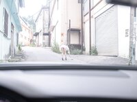 PhotoChips Vol.101 Aram (아람)