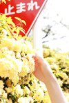 [Post Digital Photo] Aoi Ichino 一乃あおい - In the fig garden 無花果の庭で (2022-06-10)