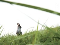 [Photobook] Mitsu Dan 壇蜜 - Prayers to you あなたに祈りを (2016-10-27)