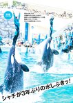 週刊ポスト 2022年 9月2日号