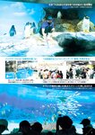 週刊ポスト 2022年 9月2日号
