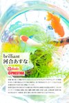 [Photobook] brilliant 河合あすな【ヘアヌード写真集】PRESTIGE DIGITAL BOOK SERIES (PRESTIGE PHOTOGENICS)