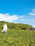 [Photobook] Riho Shishido 宍戸里帆 1st Photobook - Pure report ピュアりぽーと (2022-07-30)