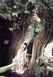 [Photobook] 小倉優子 - 恋心
