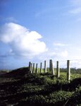 [Photobook] 山本梓 - あずみるく