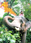 [Photobook] 小倉優子 - YOUNG SUNDAY SPECIAL GRAPHIC VOL. 3