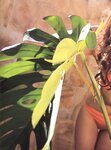 [Photobook] 夏川純 - CREA