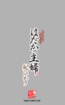 [Photobook] 妃ひかり 写真集「はだかの主婦」(プラネットプラス)
