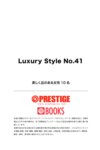 Luxury Style No.41