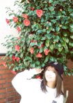 [Photobook] 加美杏奈 #NEWLOOK girl meets street