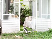 [MISS TOUCH] Yuna (유나) - Vol.49