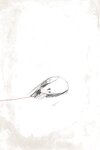 Mimmi (밈미) - Vol.2 - My small bird