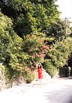[Photobook] Yuka Kageyama 影山優佳 - 1st Photobook Full of things I don't know 知らないことだらけ
