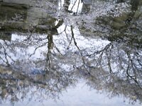 [Photobook] 小倉七海 デジタル写真集 とられち