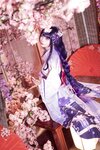 [Cosplay] 艾西aiwest 雷电将军