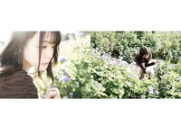 [Photobook] 八木奈々 デジタル写真集 とられち
