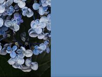 [Photobook] 七沢みあ デジタル写真集 とられち