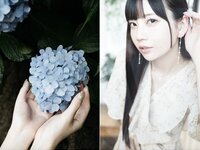 [Photobook] 七沢みあ デジタル写真集 とられち