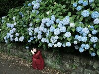 [Photobook] 七沢みあ デジタル写真集 とられち