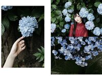 [Photobook] 七沢みあ デジタル写真集 とられち