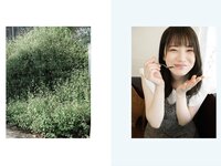 [Photobook] とられち 石川澪 デジタル写真集