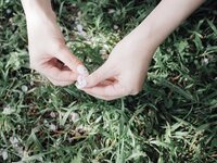 [Photobook] 七ツ森りり デジタル写真集 とられち