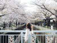 [Photobook] 七ツ森りり デジタル写真集 とられち