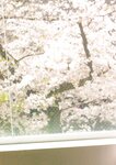 [Photobook] Shiori Kubo 久保史緒里 - 1st Photobook Intersection 交差点(23-07-11)