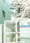 [Photobook] Shiori Kubo 久保史緒里 - 1st Photobook Intersection 交差点(23-07-11)