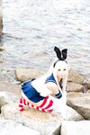 [Cosplay] @ZERO (ｦﾄﾋﾒｾﾞﾛ) - ZERO FLEET!