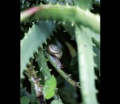 [Photobook] 紗綾 デジタル写真集 紗綾