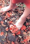 [Photobook] 小川エリカ - Sail Up