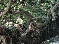 [Photobook] 小島可奈子 - 叶々 ～KANA KANA～