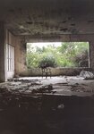 [Photobook] 小川すみれ - Changes