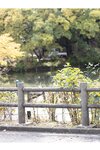 [Photobook] 志田音々 大人びたキミが眩しくて 週刊ポストデジタル写真集(2022-12-16)