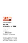 FLASHデジタル写真集 雪平莉左 エチエチお姉さん～清楚編～