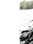 [Photobook] 小野真ゆみ - Love Maui