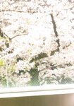 [Photobook] Shiori Kubo 久保史緒里 - 1st Photobook Intersection 交差点 (HQ Scan)