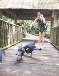 [Photobook] 早川聖来卒業記念写真集『また、いつか』[with Bonus Postcard](2023-08-29 )