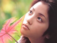 [Photobook] 小向美奈子 - Flapping