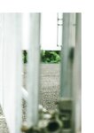 #NEWLOOK【girl meets street】三上悠亜