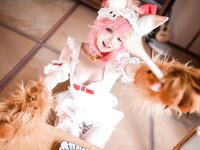 [Cosplay] 阿包也是兔娘 玉藻喵