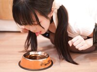 [Cosplay] Husensen 虎森森 - Dog Drama 狗狗剧情