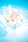 [Cosplay][RAZZLE DAZZLE] Aimy, Chii Sakura, Ebino Katsuragi - Mont Blanc モン・ブラン (Girls und Panzer)